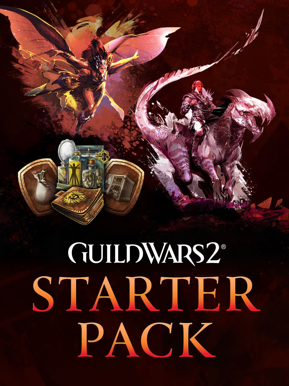 Guild Wars 2 Starter Pack